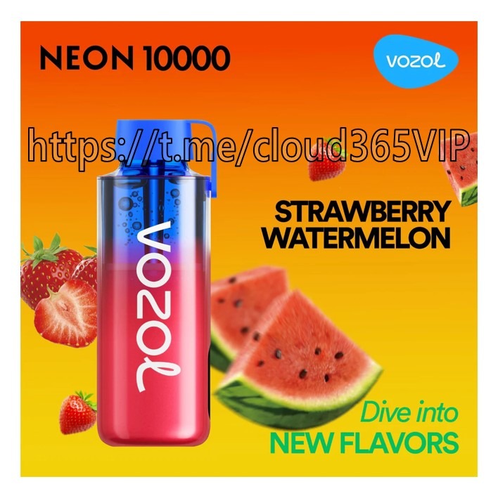 딸기수박VOZOLNEON10000