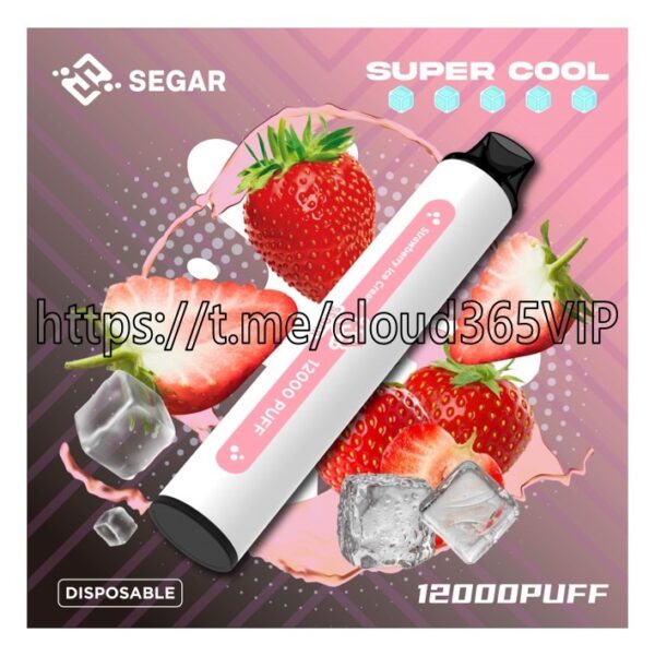 [SEGAR 12000] STRAWBERRY ICE CREAM