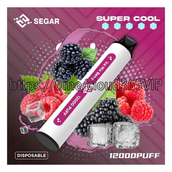 [SEGAR 12000] ICE MIX BERRY