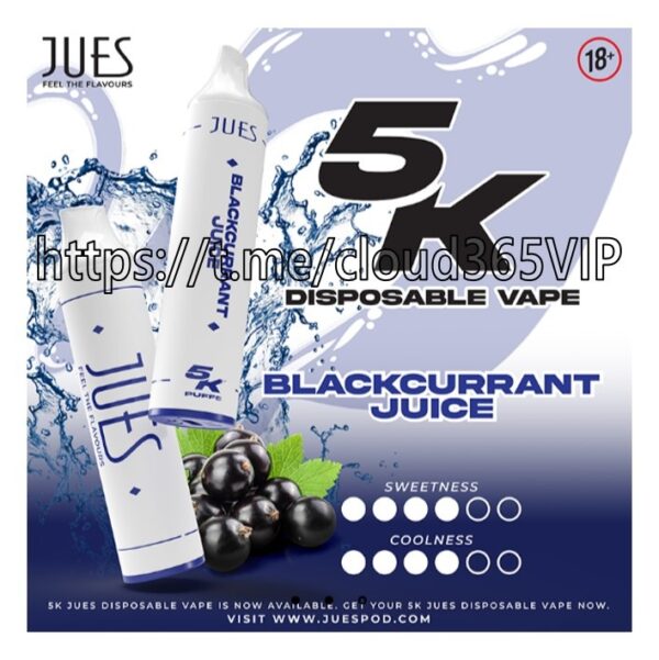 [JUES 5000] BLACK CURRANT