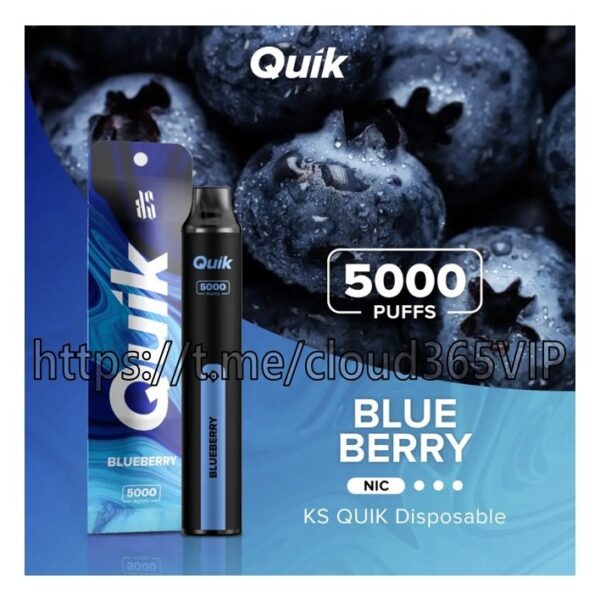 [QUIK 5000] BLUEBERRY