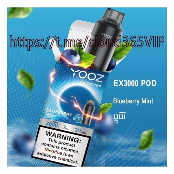 [YOOZ 3000 POD] BLUEBERRY MINT