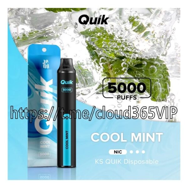 [QUIK 5000] COOL MINT