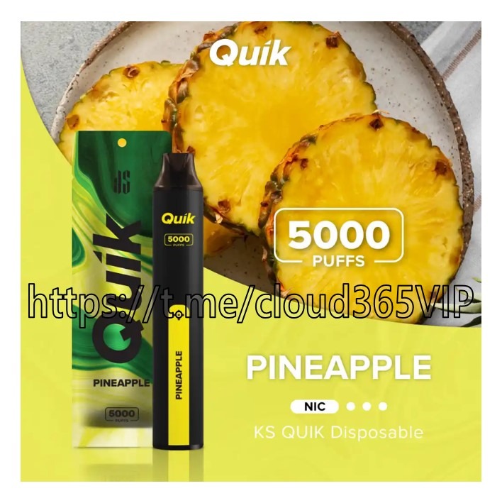 파인애플QUIK5000