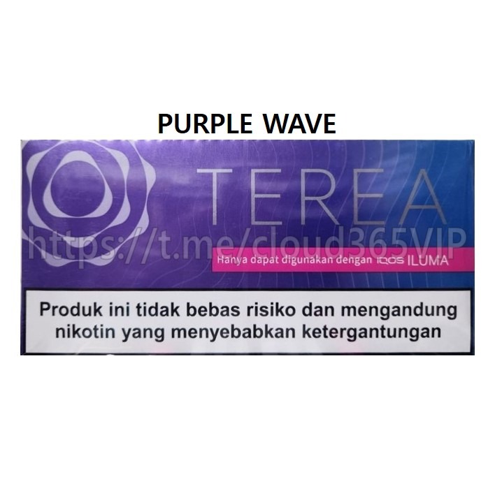 테리아PURPLEWAVE